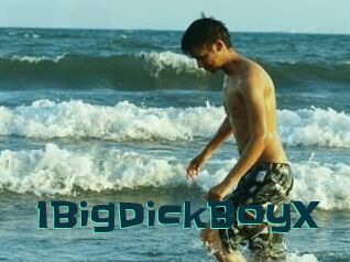 1BigDickBoyX