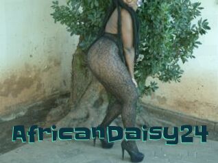 AfricanDaisy24