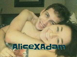 Alice_X_Adam