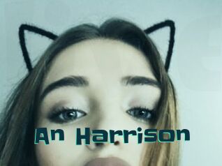 An_Harrison