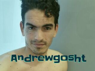 Andrewgosht