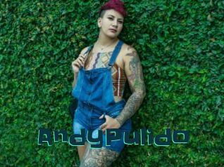 AndyPulido