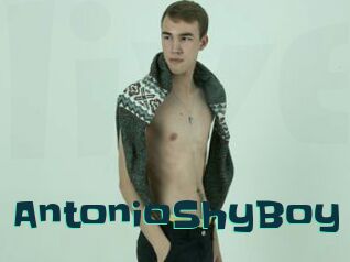 AntonioShyBoy