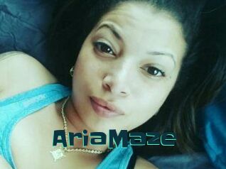 Aria_Maze