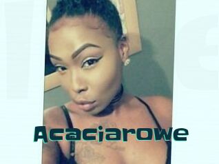 Acacia_rowe