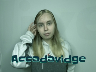 Accadavidge