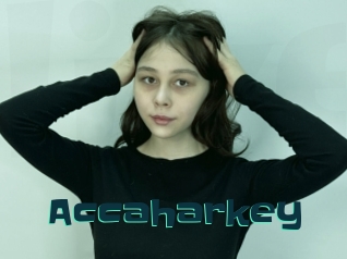 Accaharkey