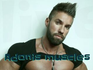 Adonis_muscles