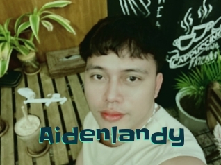 Aidenlandy