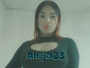 Aleja23