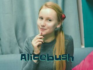 Alicebush