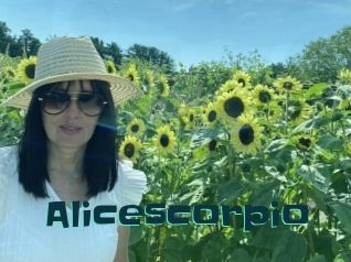 Alicescorpio