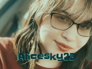 Alicesky23