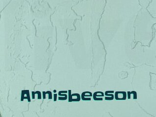 Annisbeeson