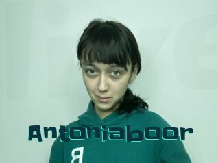 Antoniaboor