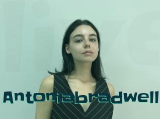 Antoniabradwell
