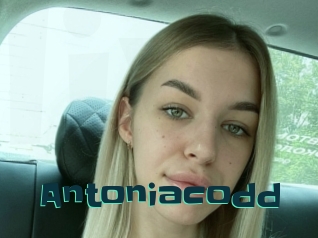 Antoniacodd