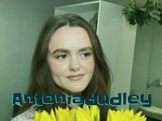 Antoniadudley