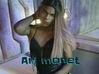 Ari_monet