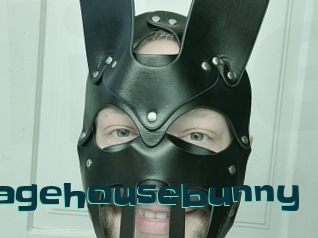 Averagehousebunny