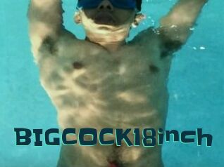 BIGCOCK18inch