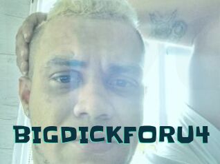 BIGDICKFORU4