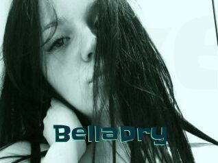 BellaDry