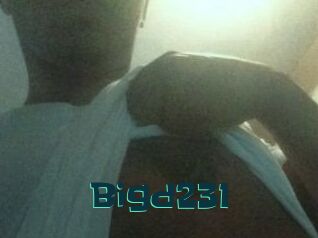 Bigd231