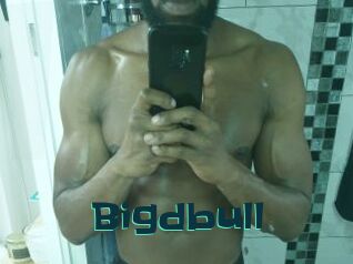 Bigdbull