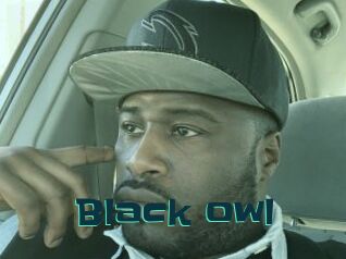 Black_owl