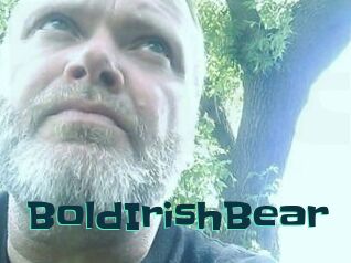 BoldIrishBear