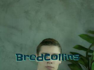 BredCollins