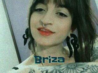 Briza