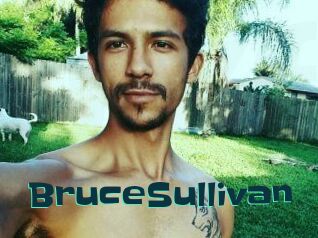 Bruce_Sullivan