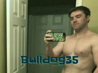 Bulldog35