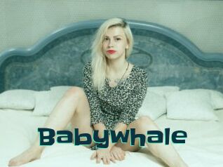 Babywhale