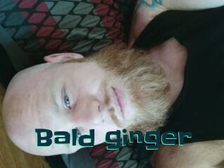 Bald_ginger