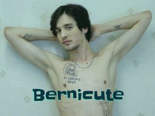 Bernicute