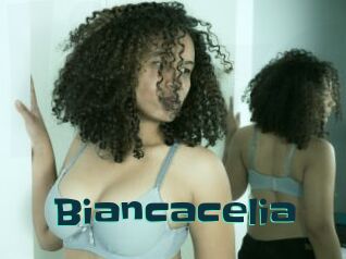 Biancacelia