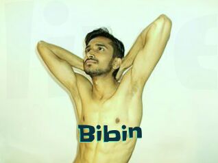 Bibin