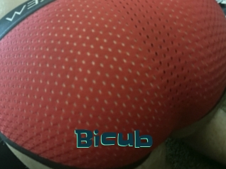 Bicub