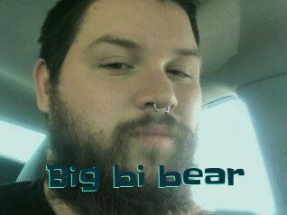 Big_bi_bear