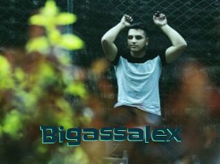 Bigassalex