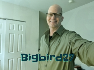 Bigbird27