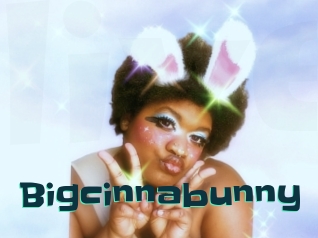 Bigcinnabunny