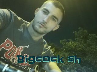 Bigcock_sh