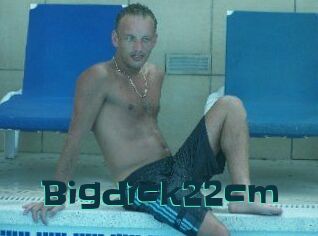 Bigdick22cm