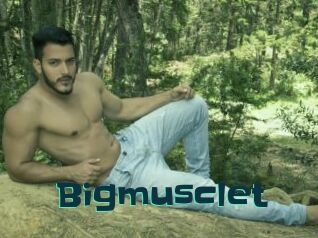 Bigmusclet