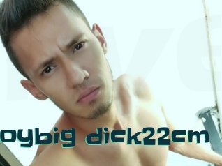 Boybig_dick22cm