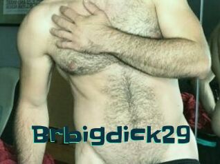 Brbigdick29